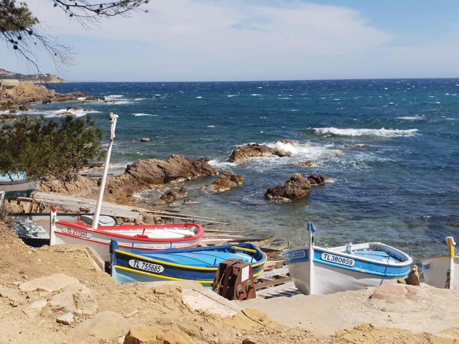 Les Geraniums, Bel Appartement Renove, Proche Plage Et Commerces La Seyne-sur-Mer Exteriör bild