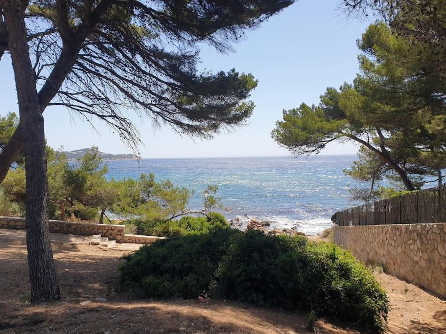 Les Geraniums, Bel Appartement Renove, Proche Plage Et Commerces La Seyne-sur-Mer Exteriör bild